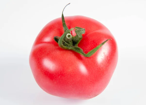 Tuoretta Tomaattia Valkoisella Pohjalla — kuvapankkivalokuva