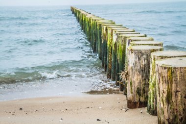 Tahta Dalgalar görünen plaj