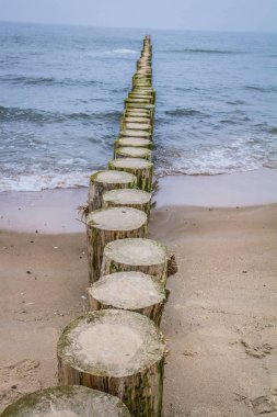 Tahta Dalgalar görünen plaj