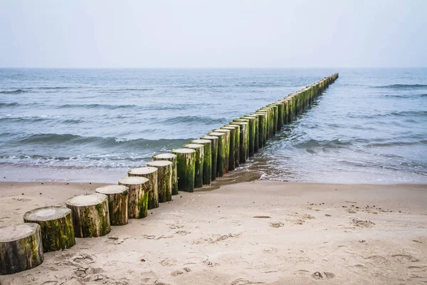 Spiaggia Con Breakwaters Legno Visibile — Foto Stock