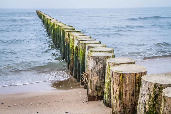 Strand Med Trä Breakwaters Synliga — Stockfoto