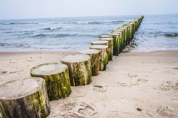 木製の防波堤が見えるビーチ — ストック写真