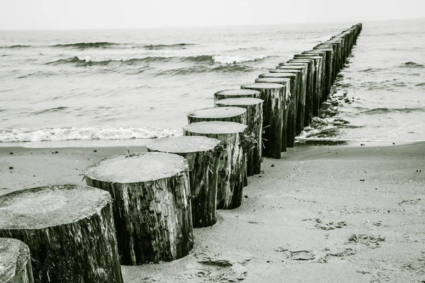Strand Fából Készült Breakwater Látható — Stock Fotó