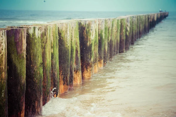 Roh Von Hölzernen Wellenbrechern Meer — Stockfoto
