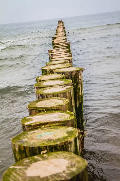 Nyers Fából Készült Breakwaters Egy Tengerparton — Stock Fotó