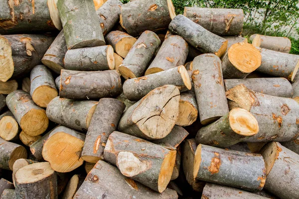 Woodpile Troncos Faia Esperando Para Ser Cortado Por Lenha — Fotografia de Stock