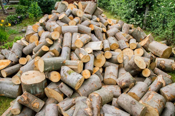 Woodpile Beech Tree Stammar Väntar Att Hackas För Ved — Stockfoto