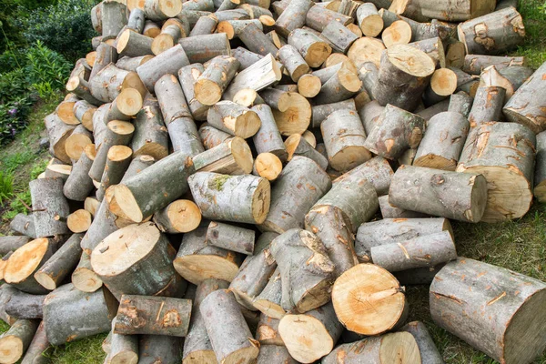 Woodpile Troncos Faia Esperando Para Ser Cortado Por Lenha — Fotografia de Stock