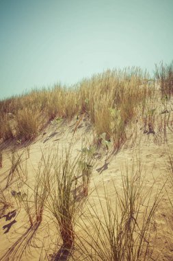 Mavi gökyüzü ile güneşli bir yaz gününde bir deniz kıyısında kum kumul