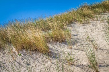Mavi gökyüzü ile güneşli bir yaz gününde bir deniz kıyısında kum kumul