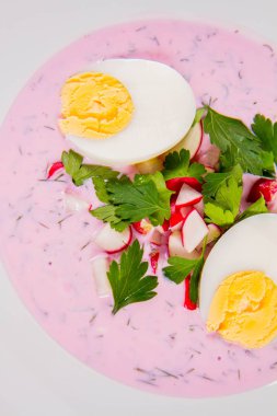 Soğuk borş (chlodnik) - turp, maydanoz, yumurta ve dereotlu geleneksel Litvanya soğuk çorbası  