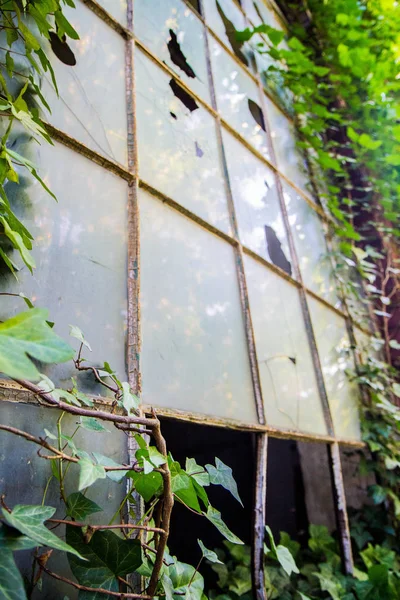 Broken Window Old Brick Building — Stock Photo, Image