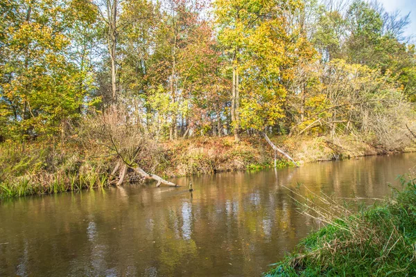 秋にポーランドのマソヴィアでより広い川 — ストック写真