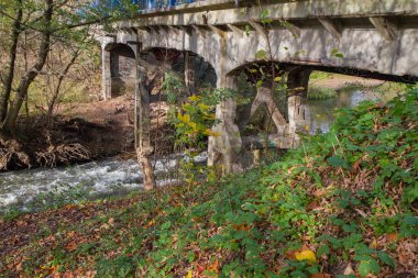 Polonya 'nın Masovia kentindeki Swider nehrinde sonbaharda köprü