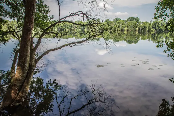 Lago Con Foresta Intorno Una Giornata Sole — Foto Stock