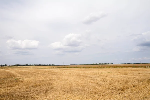 Campo Dopo Raccolto Sotto Cielo Nuvoloso — Foto Stock