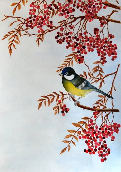 Watercolor Illustration Made Hand Shows Bird Titmouse Rowan Branch Many — Stock Photo, Image
