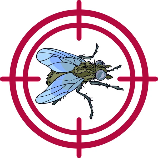 Stopce Označující Ničení Hmyzu Vektorové Ilustrace Realistické Mouchy — Stockový vektor