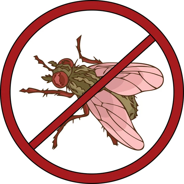 Stopce Označující Ničení Hmyzu Vektorové Ilustrace Realistické Mouchy — Stockový vektor