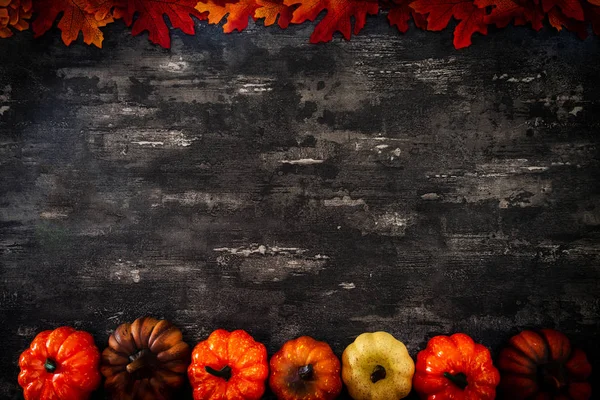 holiday of Halloween pumpkin background frame