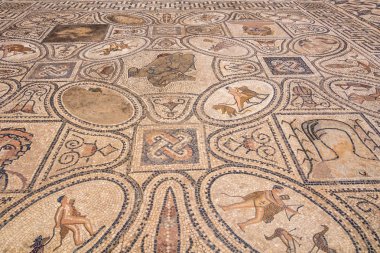 Antik Roma Volubilis Fas, word yer Roma kalıntıları Orpfeus evde döşeme mozaiği.