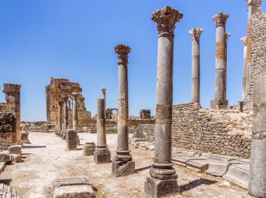 Volubilis, Unesco Dünya Mirası Meknes ve Fez, Fas Roma Bazilikası kalıntıları
