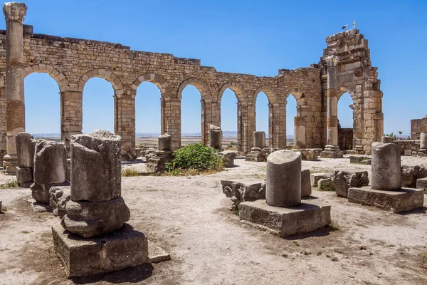 Rovine Della Basilica Romana Volubilis Patrimonio Mondiale Dell Unesco Vicino — Foto Stock