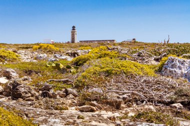 Deniz feneri cape sainte marie, Madagaskar en Güney noktası