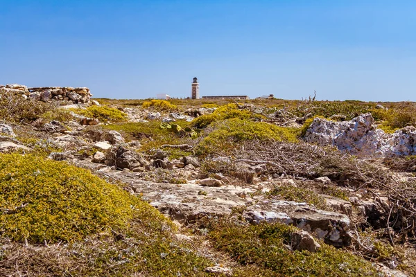 Vuurtoren Van Kaap Sainte Marie Zuidelijkste Punt Van Madagaskar — Stockfoto