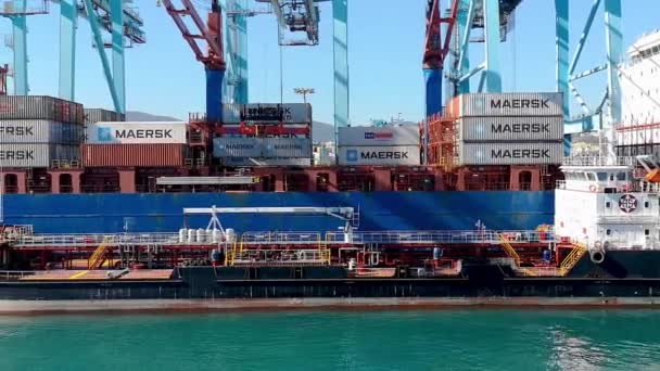 Альхесирас Испания Января 2019 Года Портовые Мероприятия Контейнерном Терминале Промышленного — стоковое видео