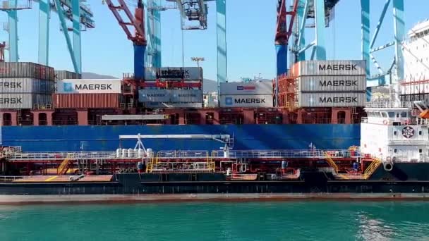 Algesiras Spanyolország 2019 Január Port Konténer Terminál Ahol Algesiras Ipari — Stock videók