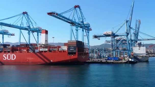 Algesiras Spanya Ocak 2019 Port Algesiras Sanayi Ticaret Noktasının Konteyner — Stok video