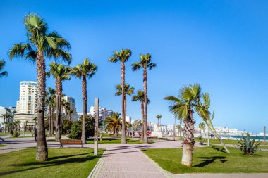 Tanca Rıhtımı, Fas