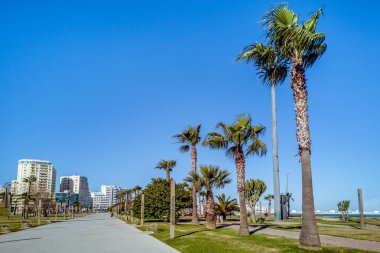 Tanca Rıhtımı, Fas