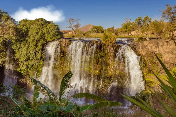 Cascata di Lily — Foto Stock