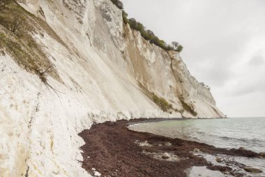 Manzara tarih Pzt, Danimarka - Beyaz kayalıklar.