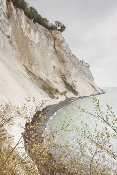 Krajobraz Wyspie Mon Dania Białe Klify — Zdjęcie stockowe