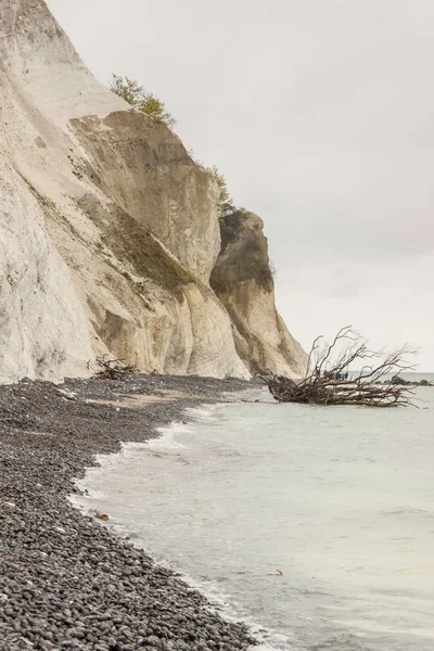 Landschap Denemarken Witte Kliffen — Stockfoto