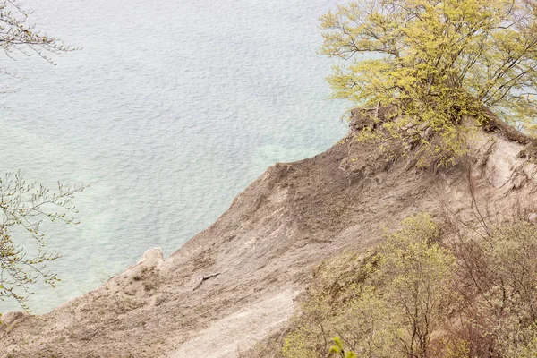 Weiße Klippen Mons Dänemark Europa — Stockfoto