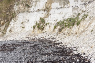 Danimarka Stevns Clifss görünümü. Bahar günü. Europe.