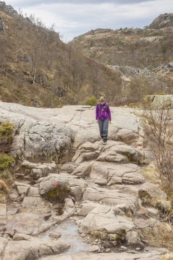 Preikestolhytta, Norveç - 13 Mayıs 2017: Turist üzerinde 13 Mayıs 2017 yılında Preikestolhytta izi Preikestolen için. Preikestolen bir ünlü turistik cazibe Rogaland, Norveç ilçesidir. Preikestolen 604 metre (1,982 ft) yükselen sarp bir uçurum üzerindedir