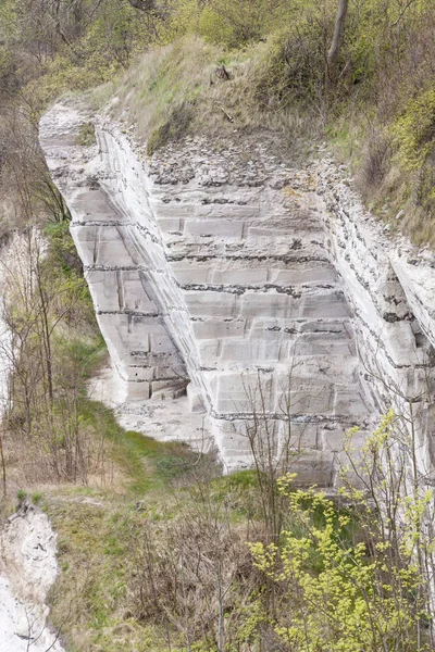 Vue Sur Stevns Clifss Danemark Jour Printemps Europe — Photo