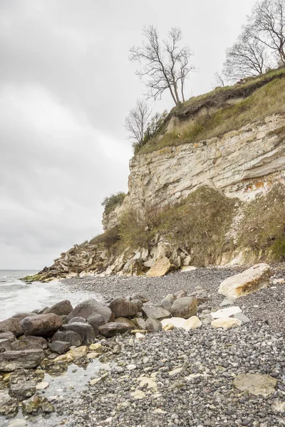 Vue Sur Stevns Clifss Danemark Jour Printemps Europe — Photo