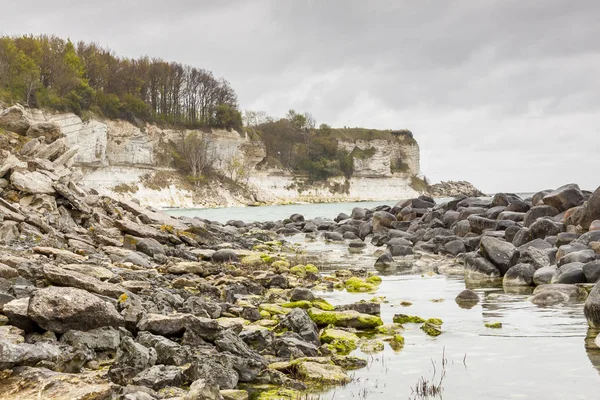 View Stevns Clifss Denmark Spring Day Europe — Stock Photo, Image