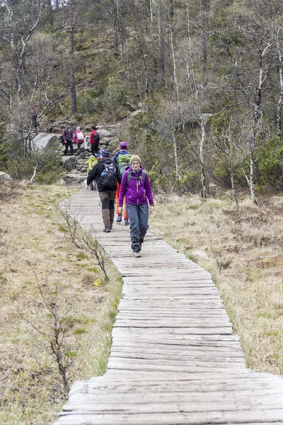 Preikestolhytta Norway May 2017 Tourists Trail Preikestolen May 2017 Preikestolhytta — Stock Photo, Image