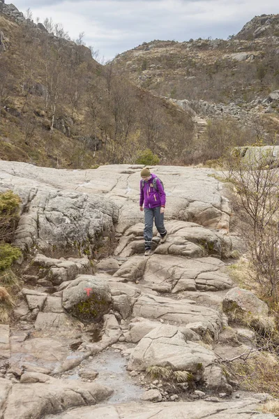 Preikestolhytta Norway May 2017 Tourrists Trail Preikestolen May 2017 Preikestolhytta — стоковое фото