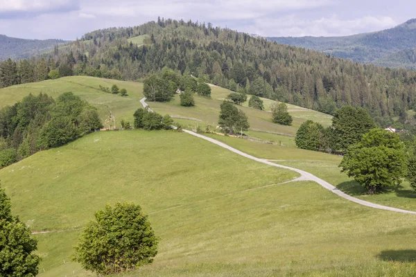 Bellezza Polacco Montagne Beskidy — Foto Stock