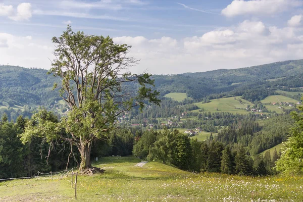 美しさを磨く山 Beskidy — ストック写真