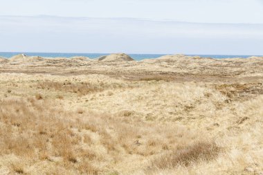 Sahil Danimarka Norre Vorupor Köyü.