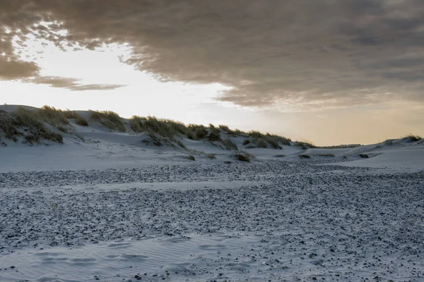 丹麦北部斯卡根旁边的海滩 — 图库照片
